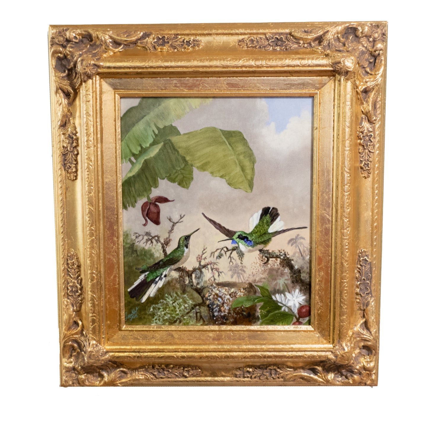 Martin Johnson Heade "Black-Eared Fairy" - Reproduction Painting