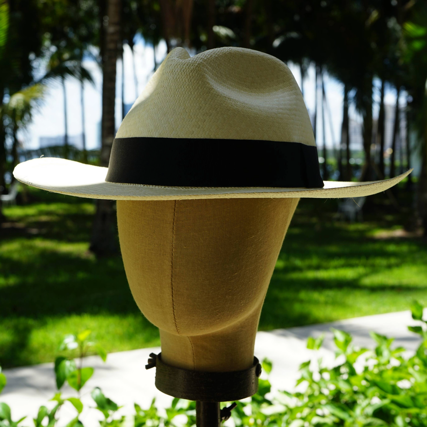 Classic Montecristi Hand Woven Sombrero Hat