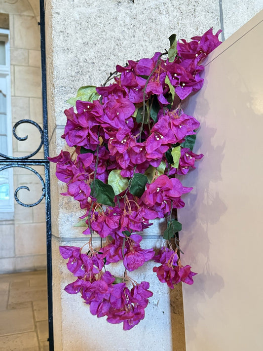 Bougainvillea Hanging Spray