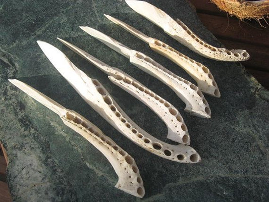 Alligator Jaw Bone Knife