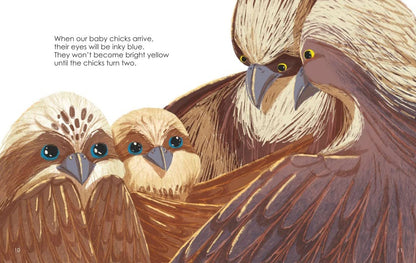 Stella the Mama Osprey