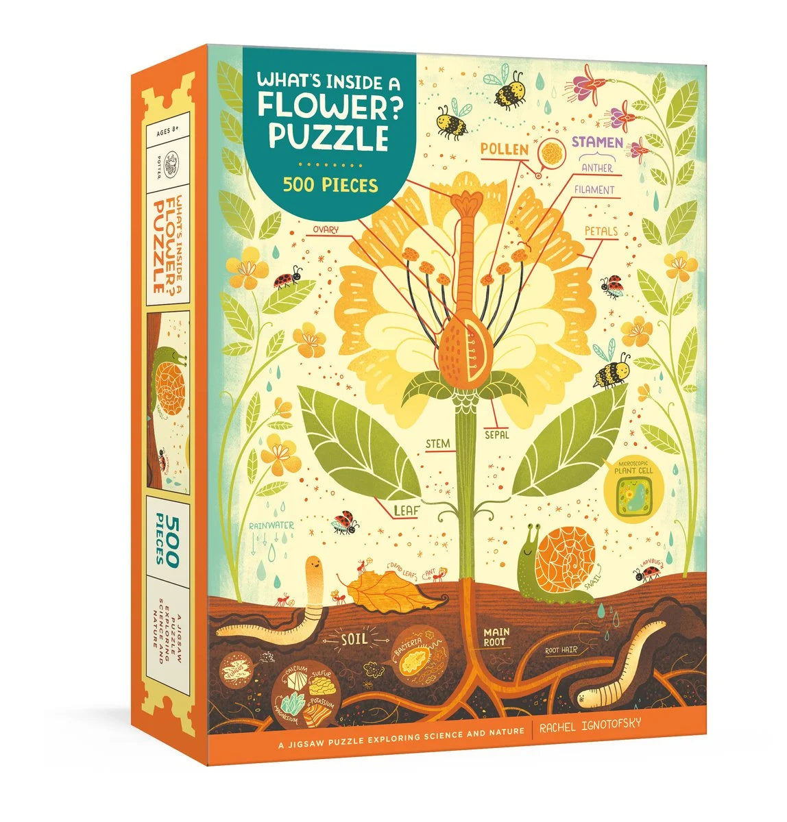 What's Inside a Flower? Puzzle: Exploring Science and Nature 500-Piece Jigsaw Puzzle Jigsaw Puzzles for Adults and Jigsaw Puzzles for Kids (Other)