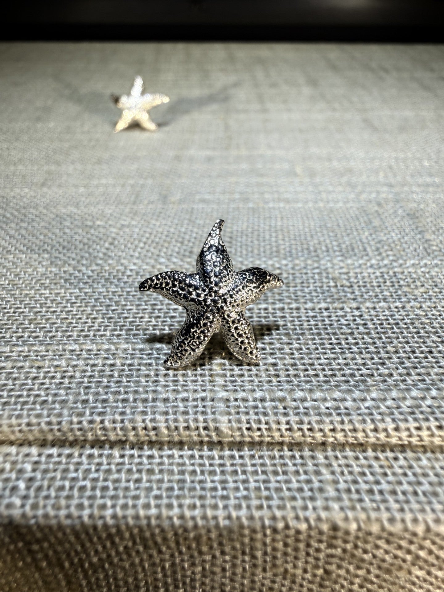 Starfish Stud Earrings