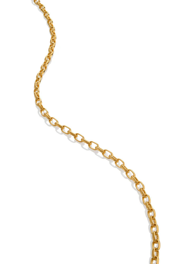Colby Davis Chain: Gold Vermeil Petite Rolo 18"