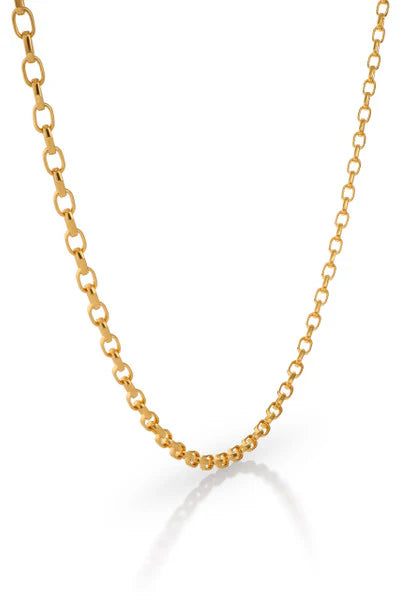 Colby Davis Chain: Gold Vermeil Petite Rolo 18"