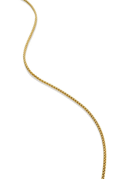 Colby Davis Chain: Gold Vermeil Small Box 20"