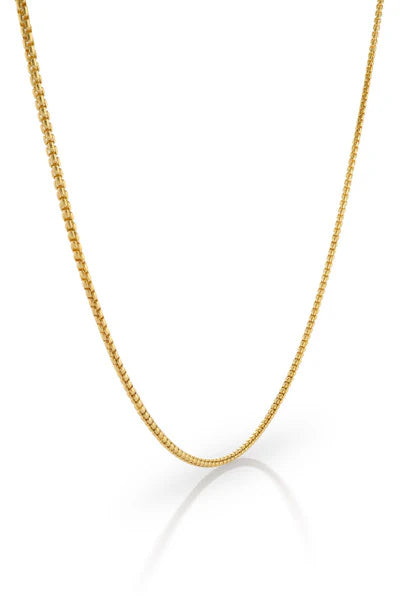 Colby Davis Chain: Gold Vermeil Small Box 20"