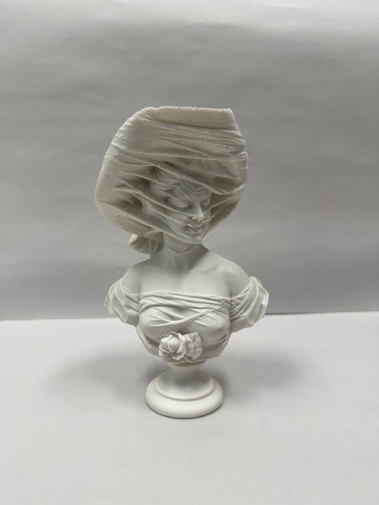 Lady in the Veil