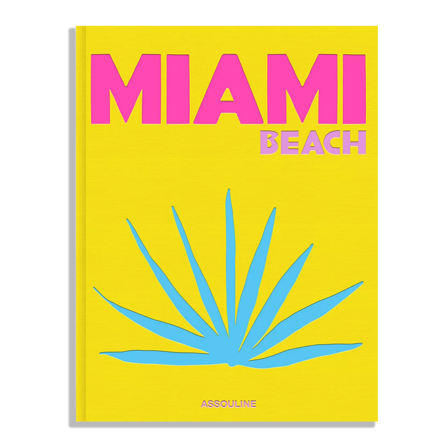 MIAMI BEACH by Assouline