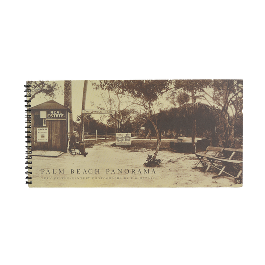 Palm Beach Panorama
