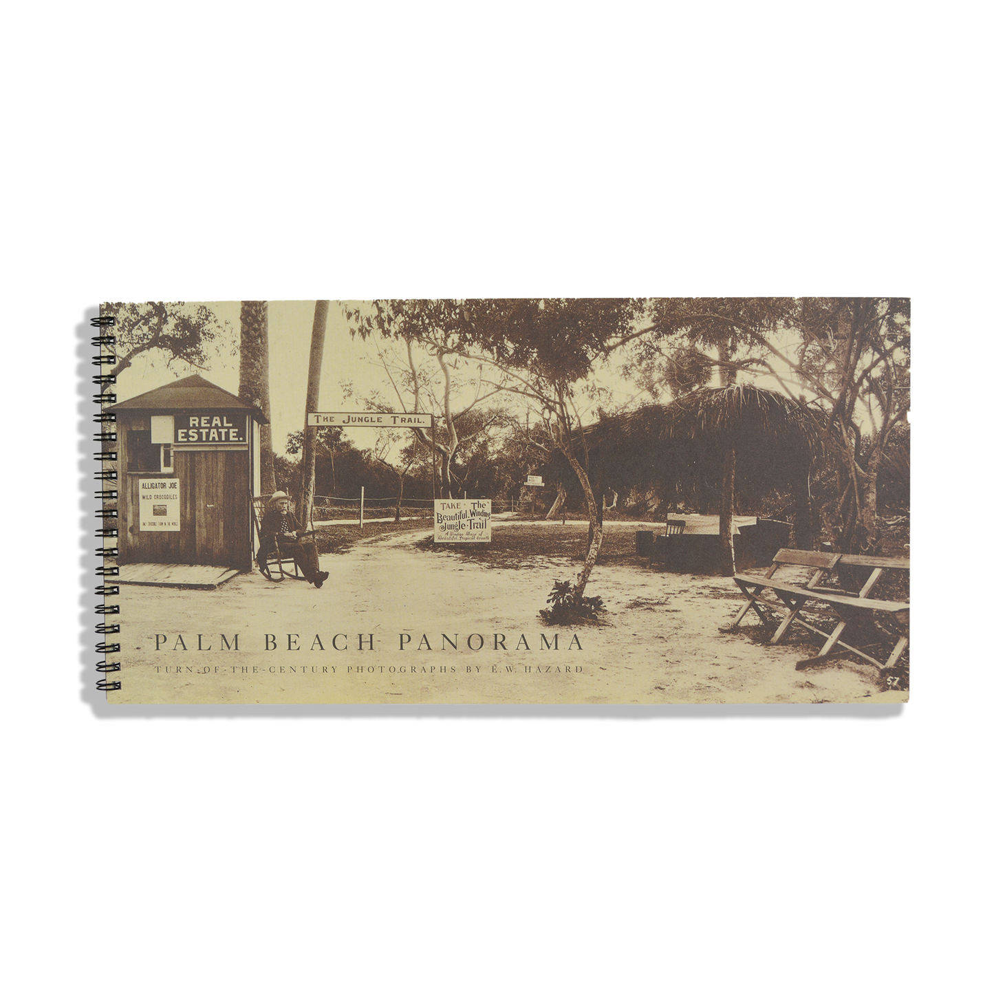 Palm Beach Panorama