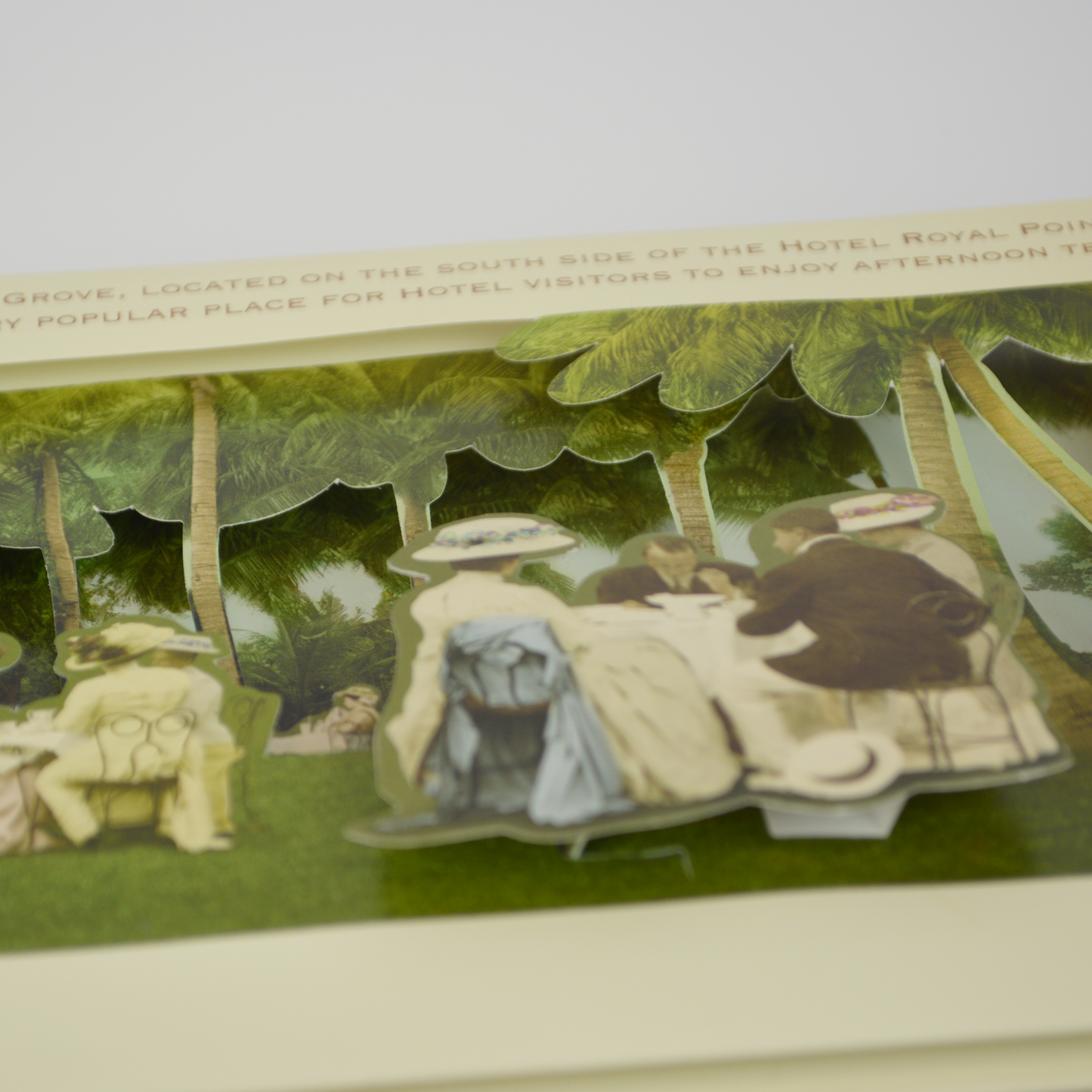 Our Town: An In-Depth Pictorial History of Palm Beach