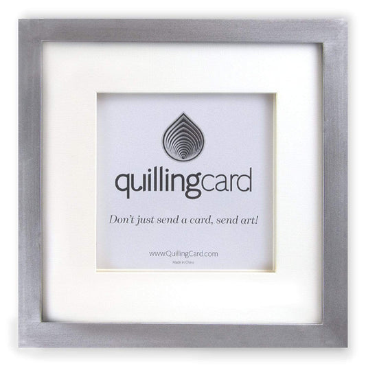 Silver Frame Shadow Box
